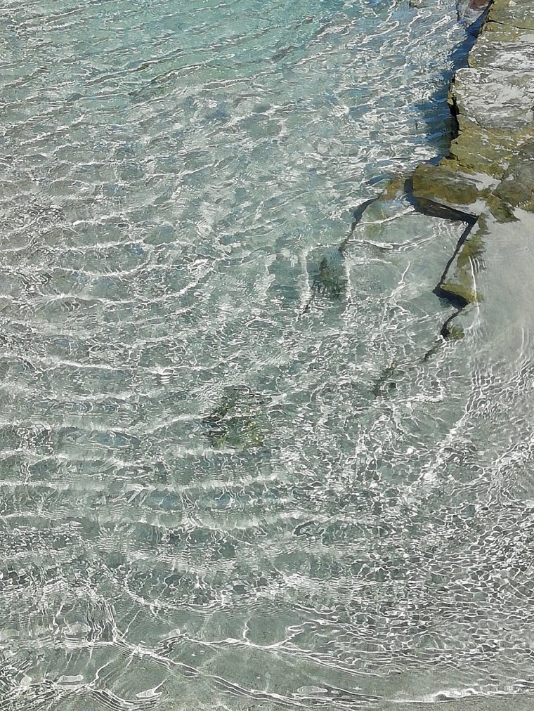 "Cantábrico" A. Saez de Lafuente