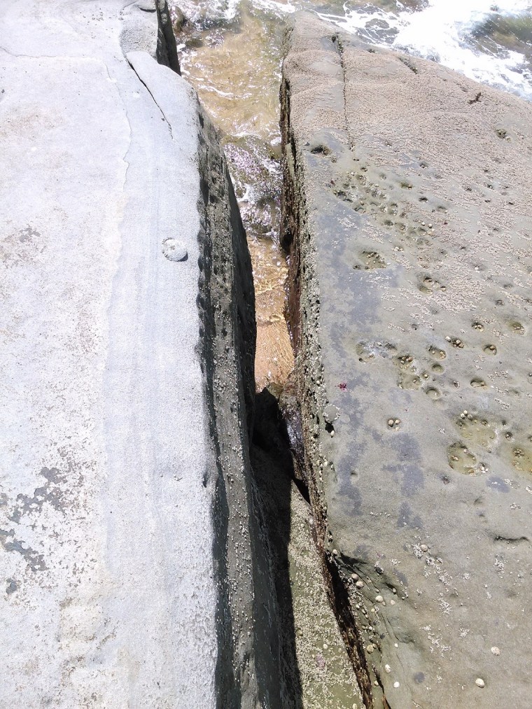 "División" A. Saez de Lafuente