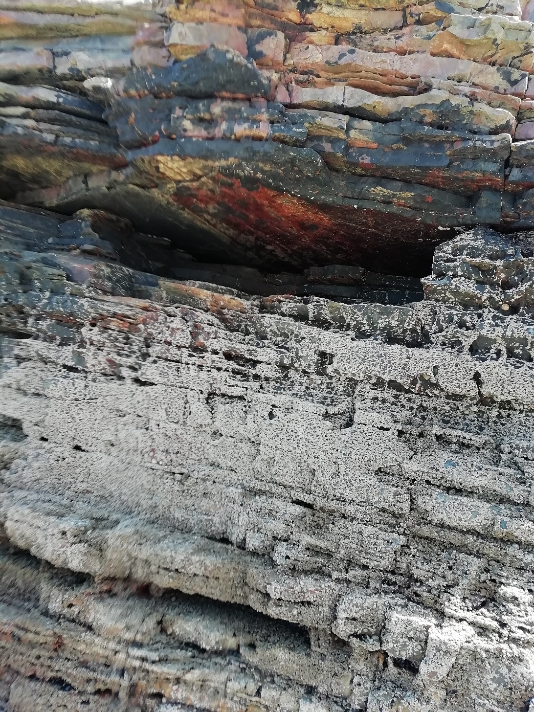 "Herida" A. Saez de Lafuente