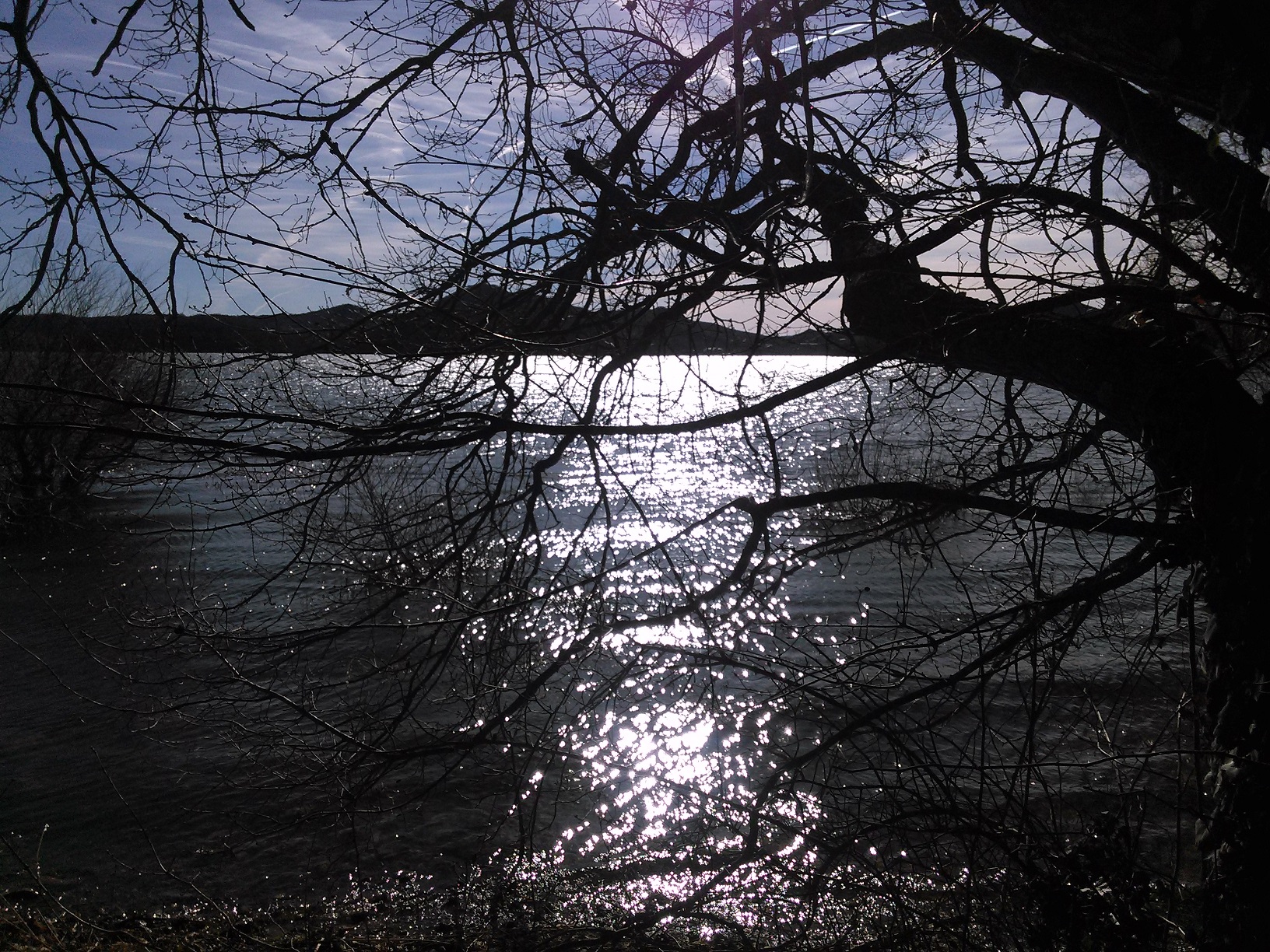 "Landa" A. Saez de Lafuente