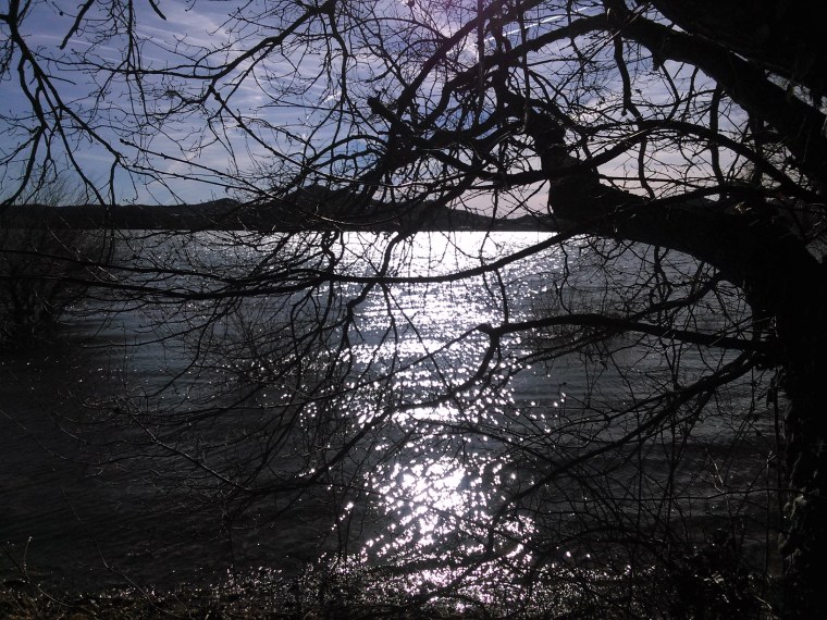 "Landa" A. Saez de Lafuente