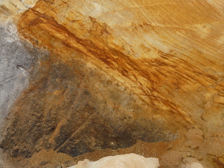 "Metamorfosis" A. Saez de Lafuente